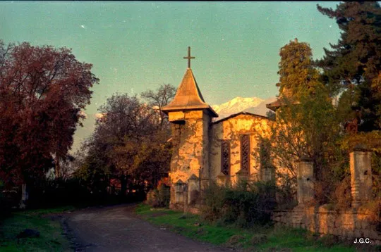 image (11)