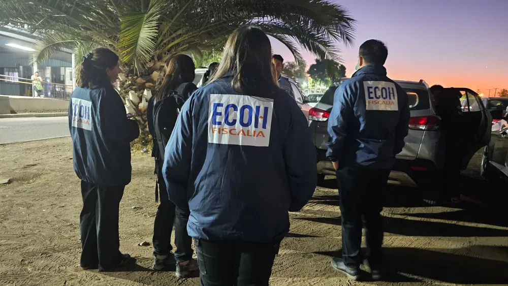 WhatsApp Image 2026-04-06 at 22.53.02