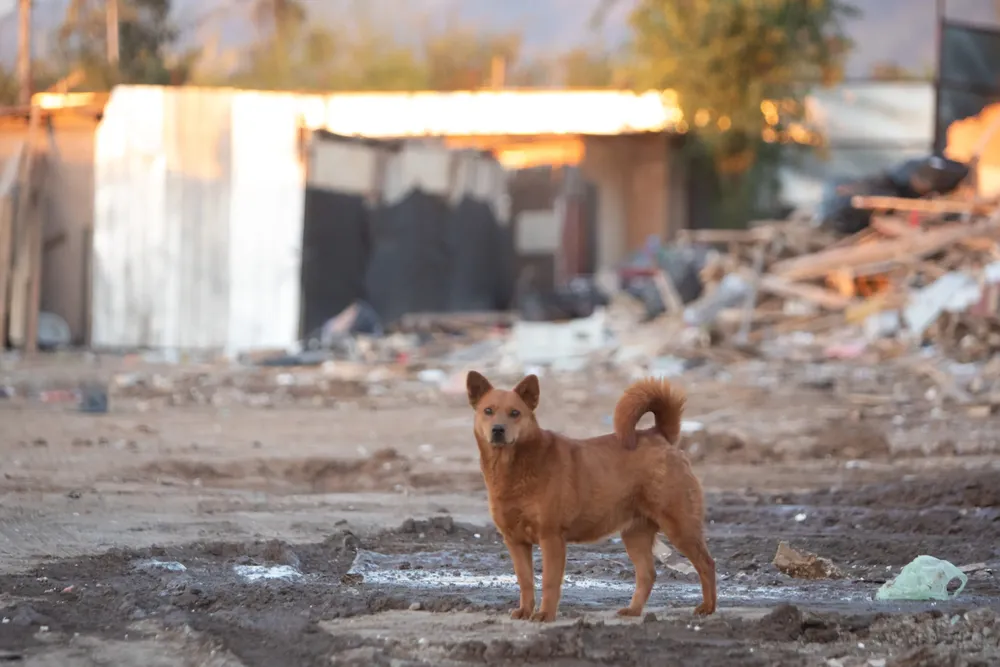 11-164212_91jb_A_UNO_1691345-scaled