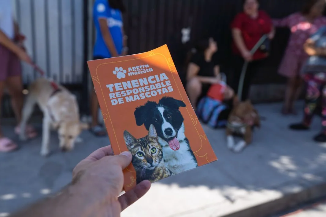 650369326_18098091104291741_2798955394894265503_n