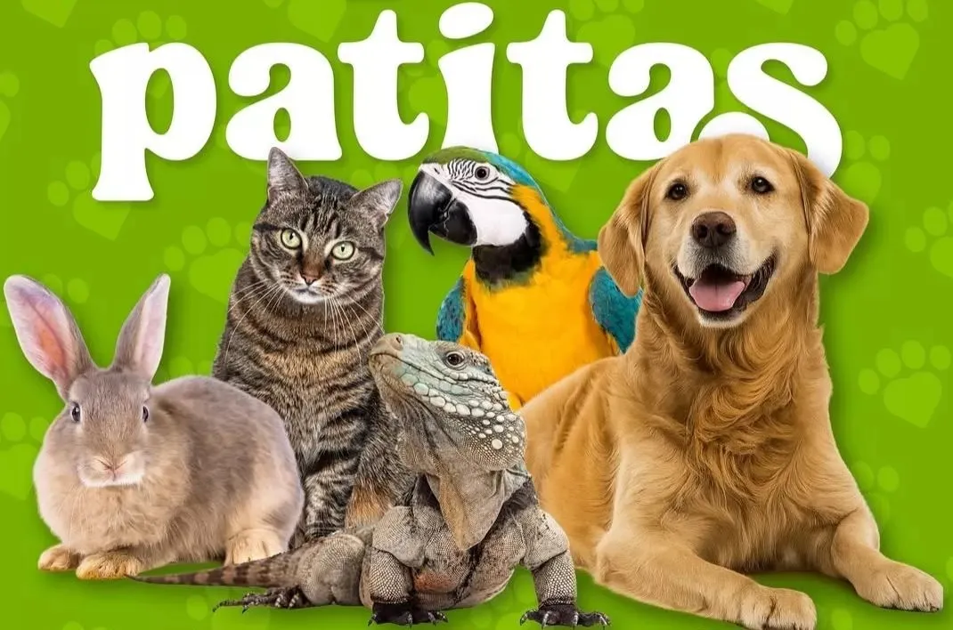 patitas