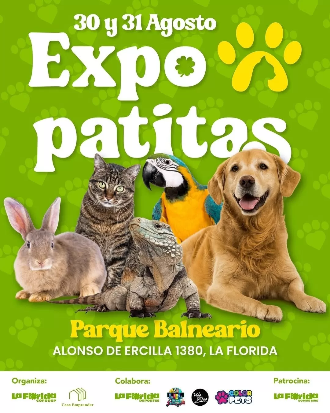 Panoramas-La-Florida-1