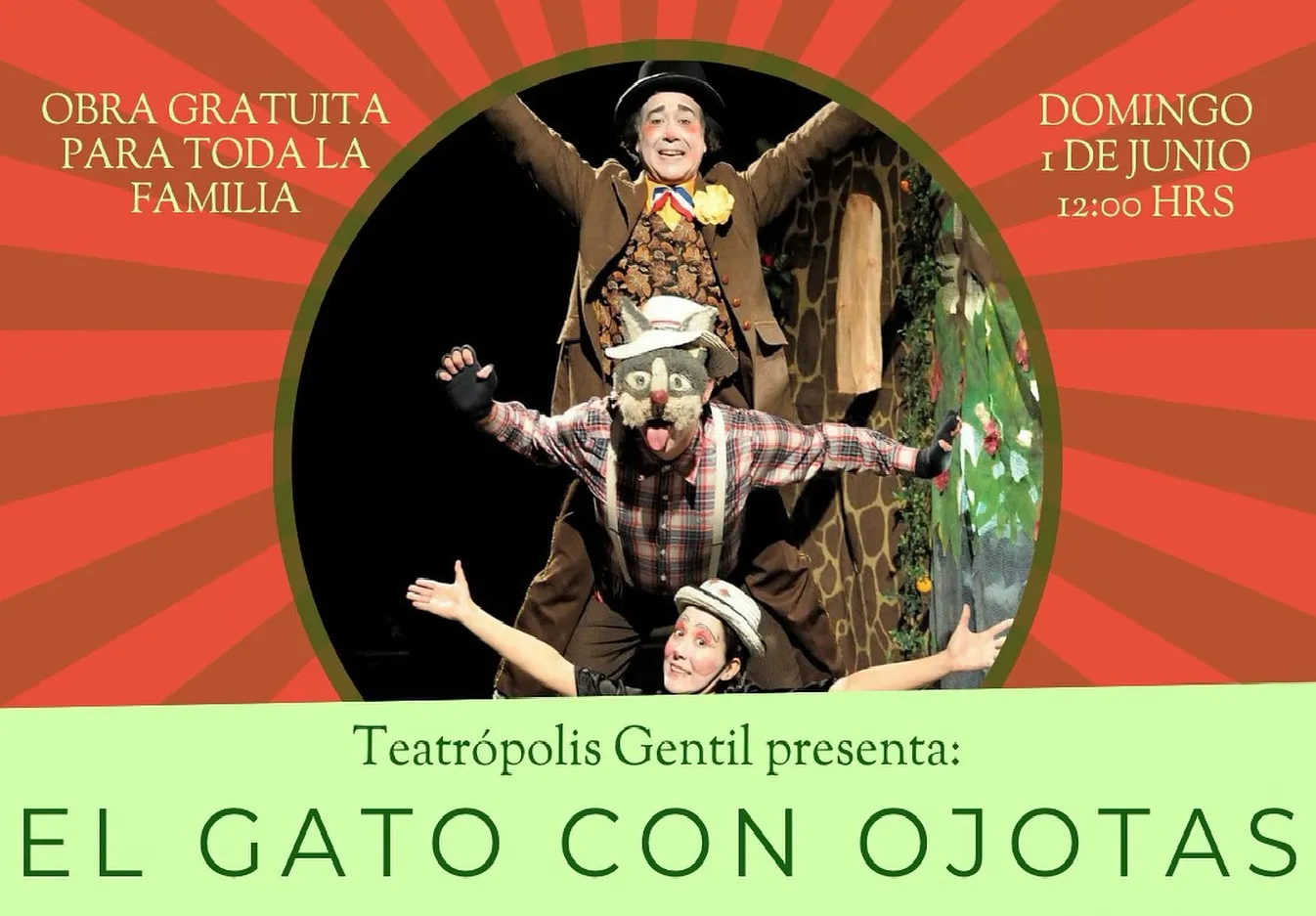 elgatoconbotas