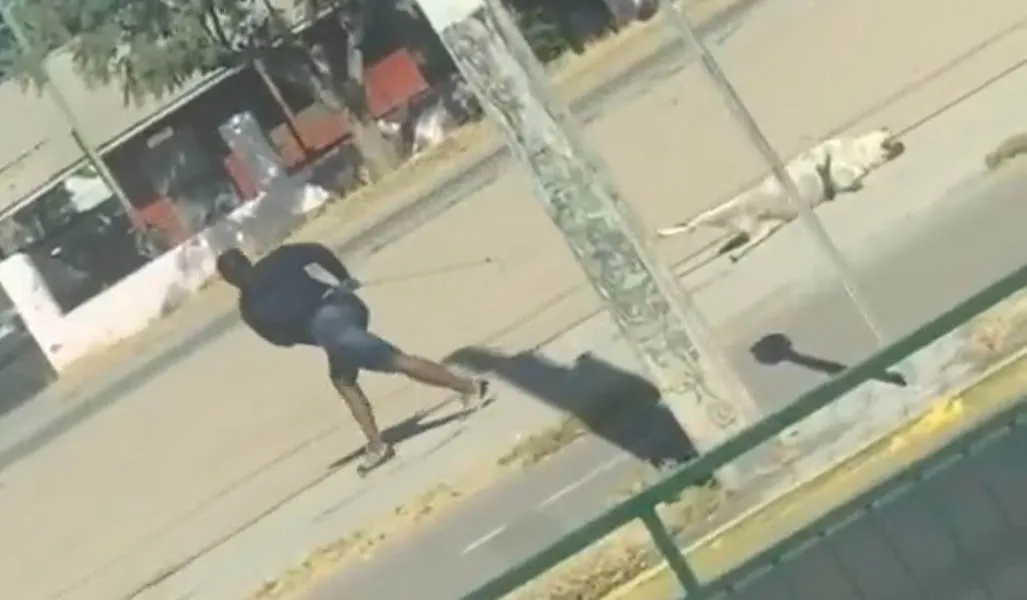 haitiano-con-perro