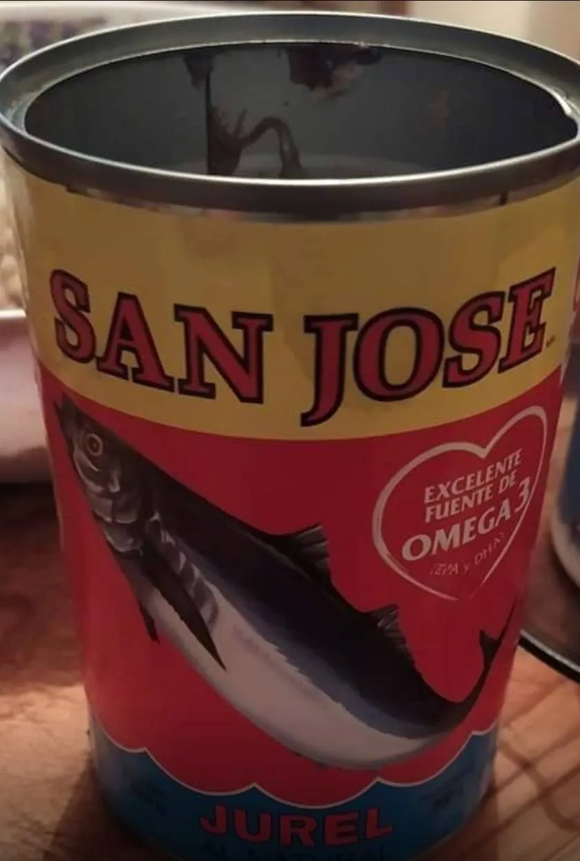 485897894_1175298661272727_8544503922607796927_n