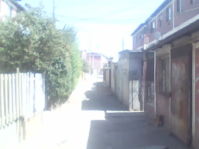 IMG0143A