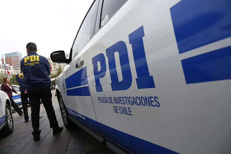 PDI-1 (4)