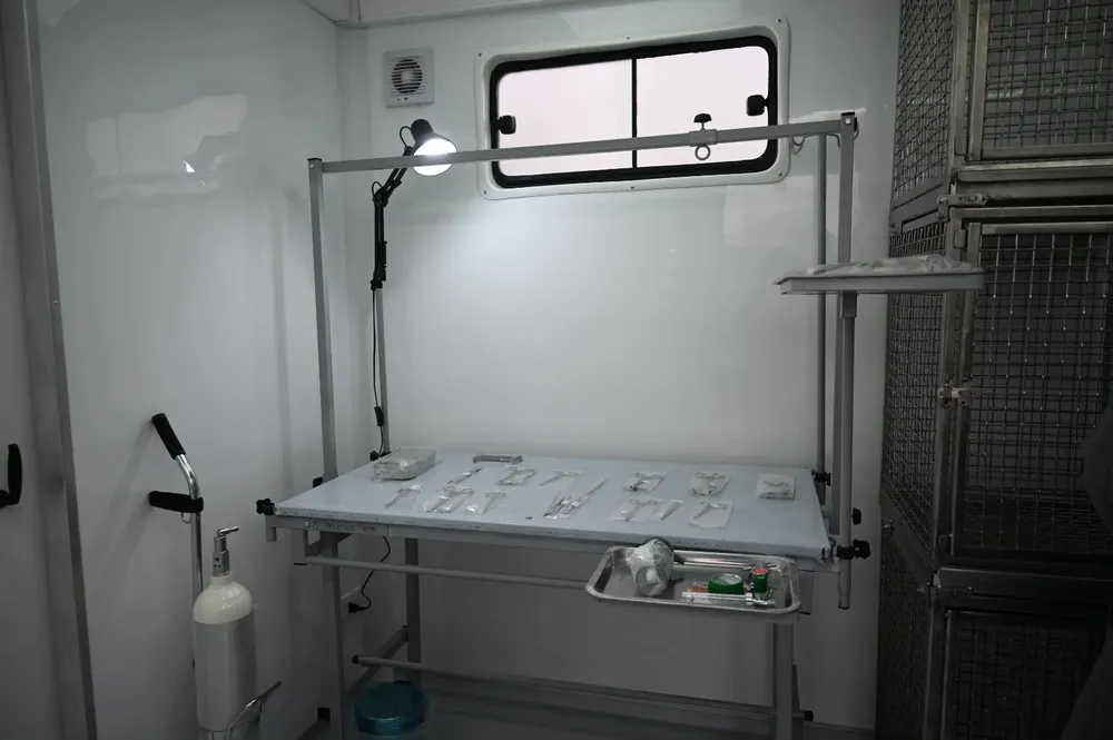 457484040_915215233974020_1455525843962199019_n