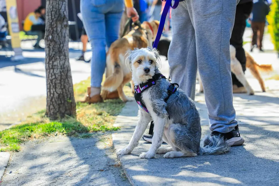 552227846_18080100716291741_3533156374846016290_n