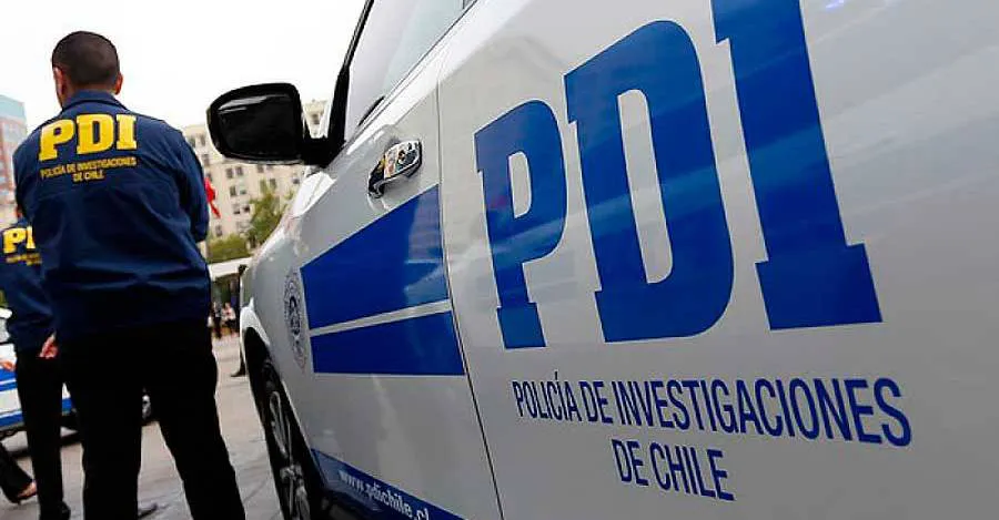 pdi-1 (2)